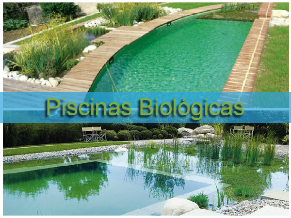 piscina biológica Sustentável