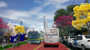 recife sustentável - recife enxerido