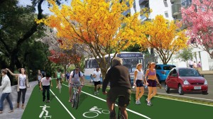 recife sustentável - recife enxerido