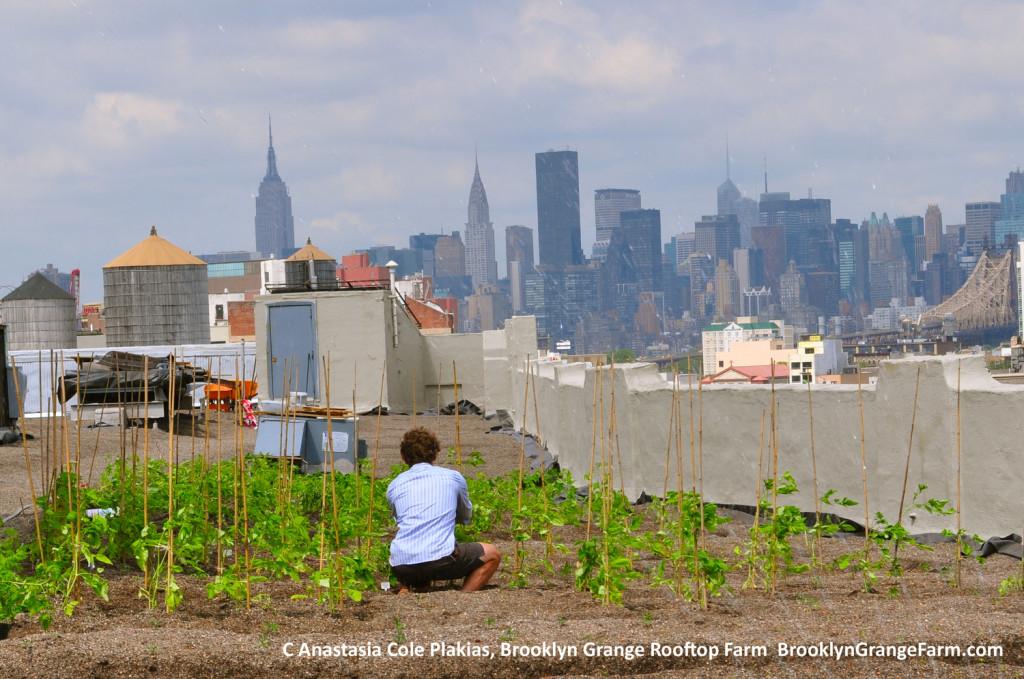 Hortas Urbanas pelo mundo