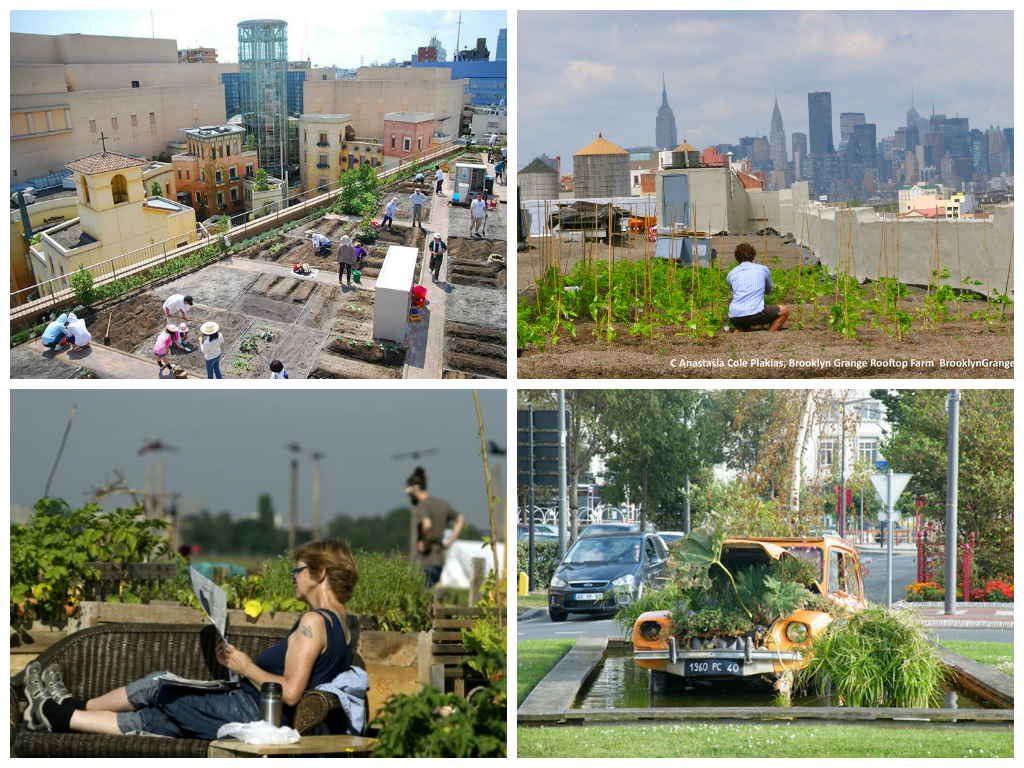 5 hortas urbanas pelo mundo