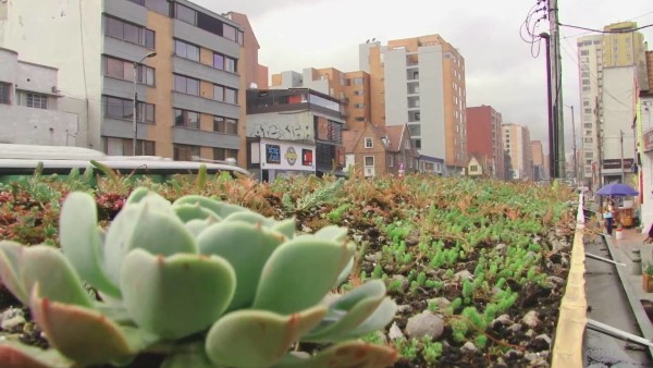 corredor ecourbanístico