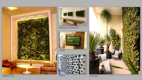 jardim vertical em divisórias