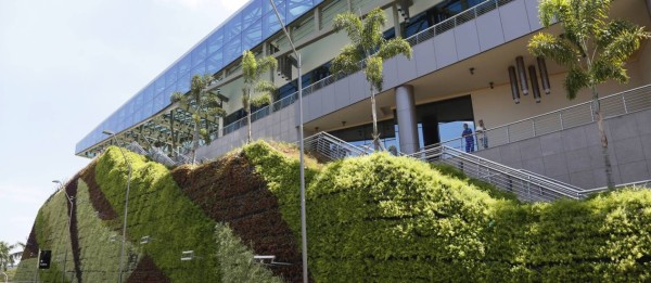 vantagens dos jardins verticais 