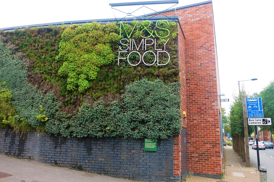 jardim vertical Mark spencer