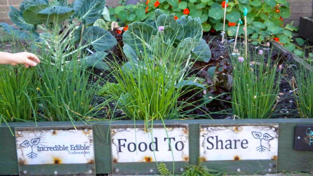 hortas comunitárias incredible_edible