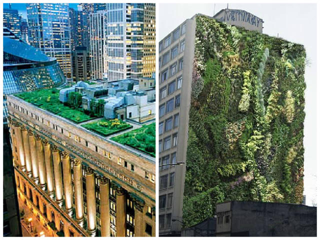 Telhado Verde -Prefeitura de SP e Jardim Vertical no Minhocão, instalado pelo Movimento 90