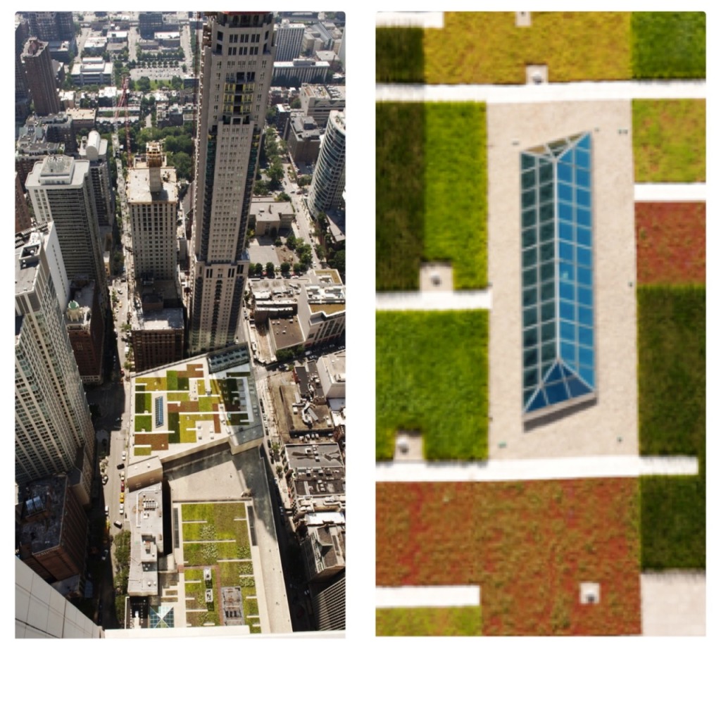 telhados verdes em chigaco