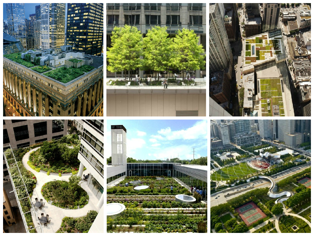 telhados verdes em chigaco