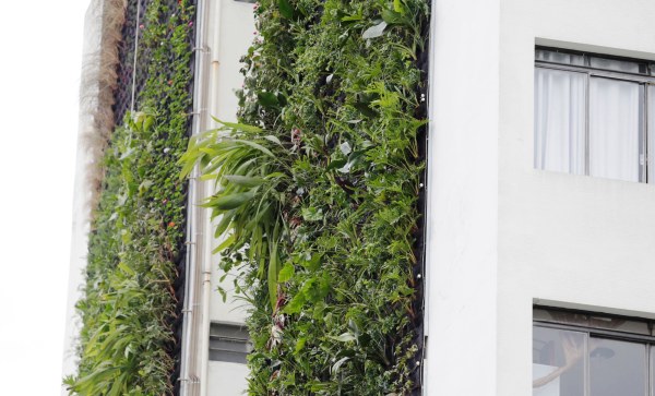 jardins verticais em São Paulo