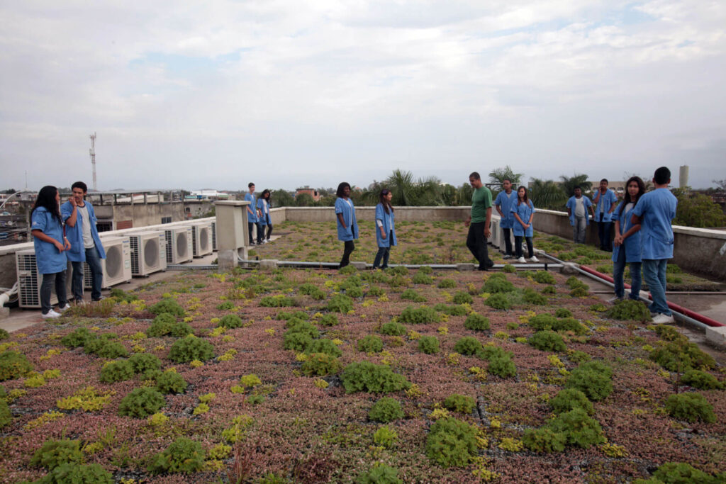 Colégio Estadual Erich Walter Heine, telhado verde