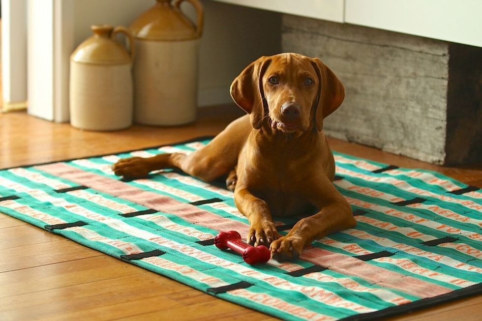 mangueiras descartadas design