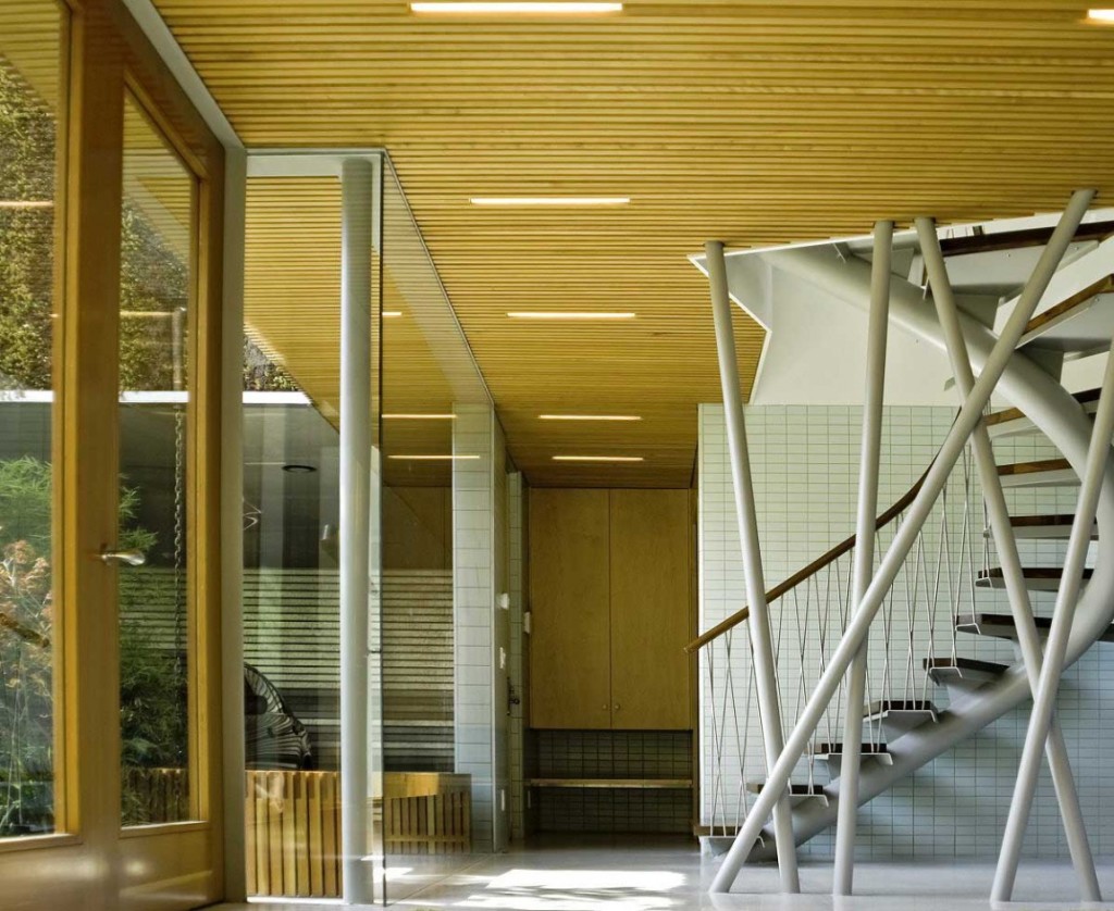 Reforma deixa casa mais verde e sustentável