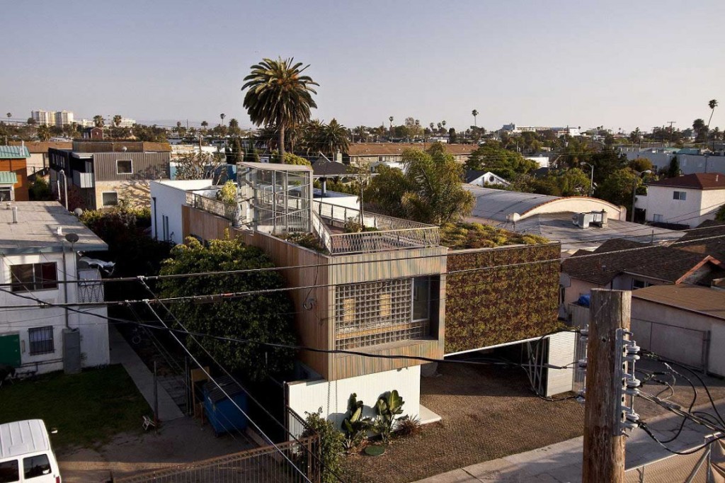 Reforma deixa casa mais verde e sustentável