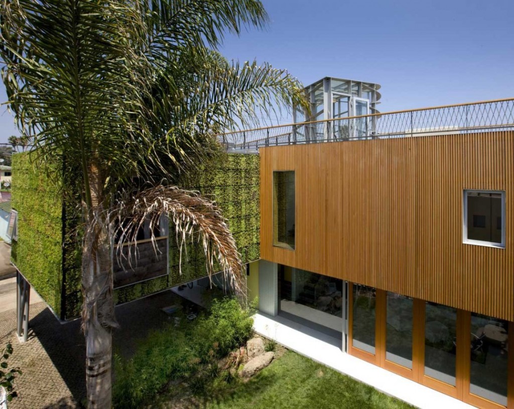 Reforma deixa casa mais verde e sustentável