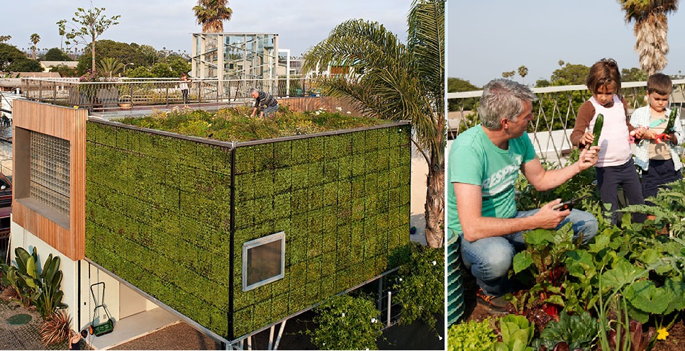 Reforma deixa casa mais verde e sustentável