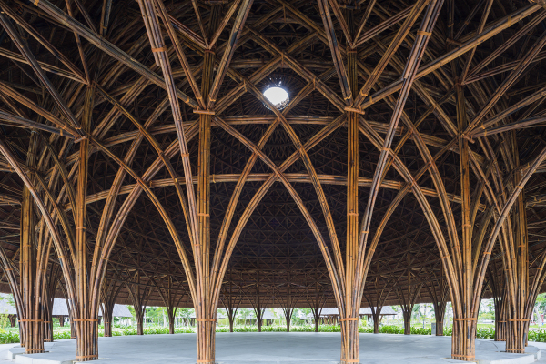 bambu vo trong nghia