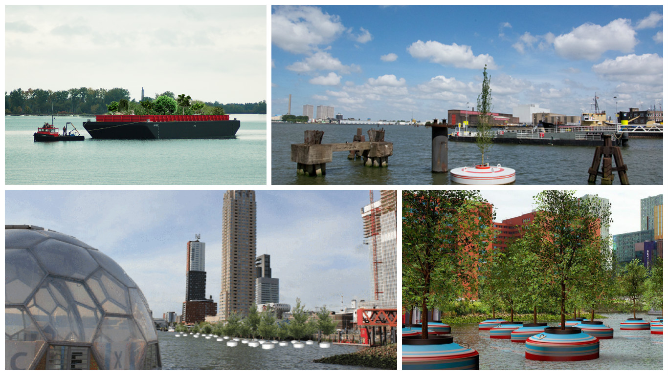 Florestas flutuantes