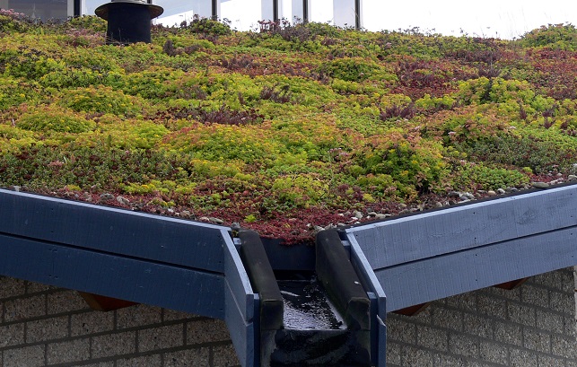 telhados verdes em joão pessoa