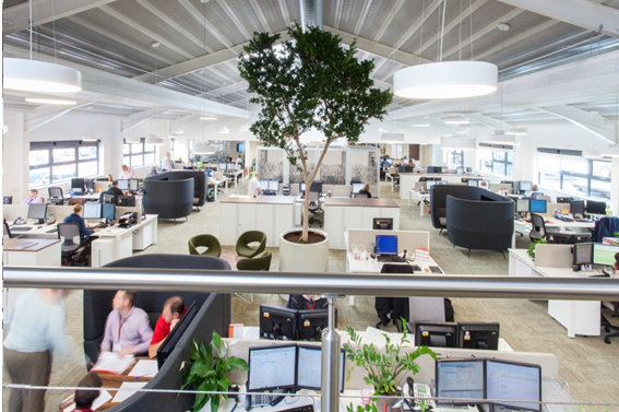 porque melhorar o ambiente de trabalho das empresas