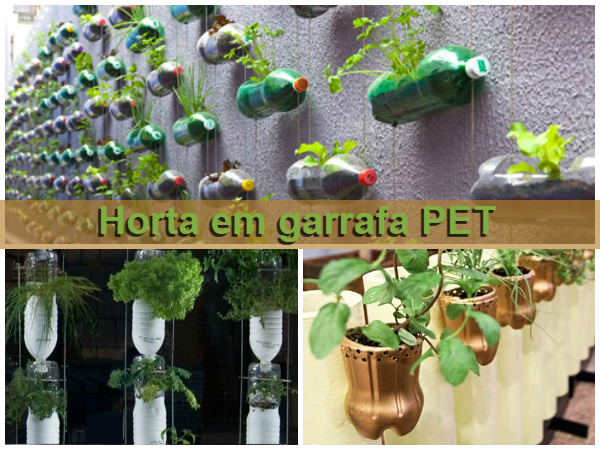 Hortas em garrafas PET