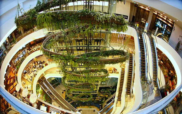 Jardim suspenso de Patrick Blanc