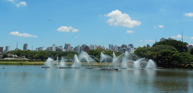 Despoluição dos lagos do Ibirapuera