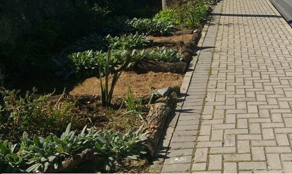 hortas em calçadas curitiba