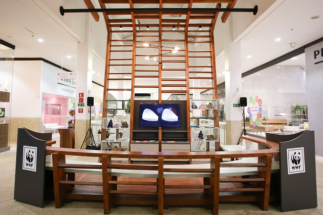 sustentabilidade lucrativa