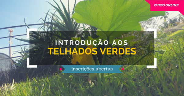 Introdução aos Telhados Verdes