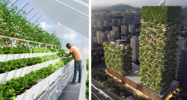 florestas verticais urbanas