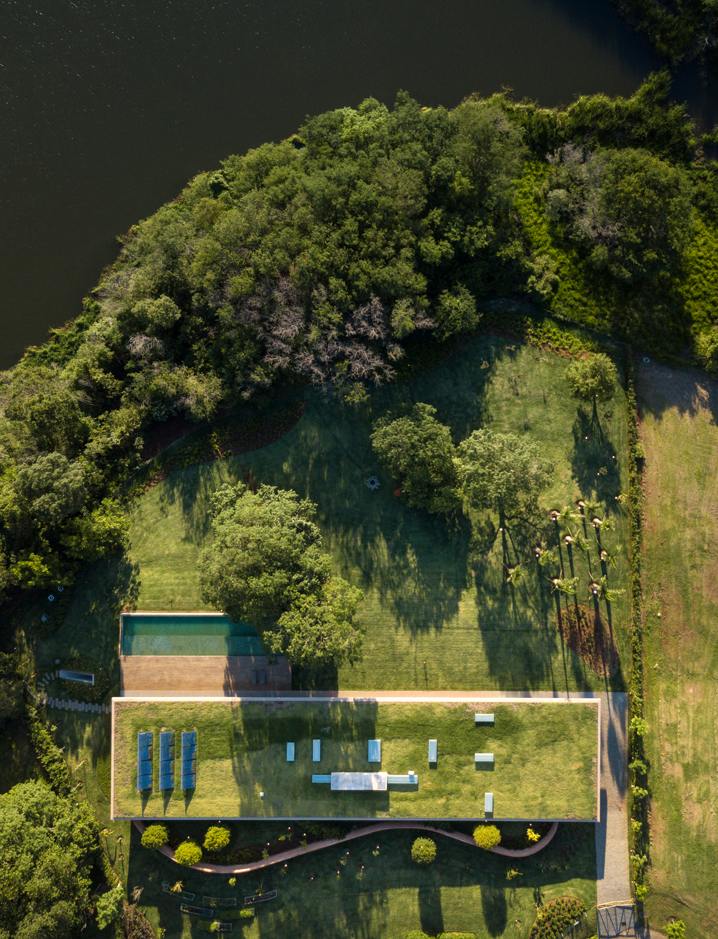 grande telhado verde Casa Plana 