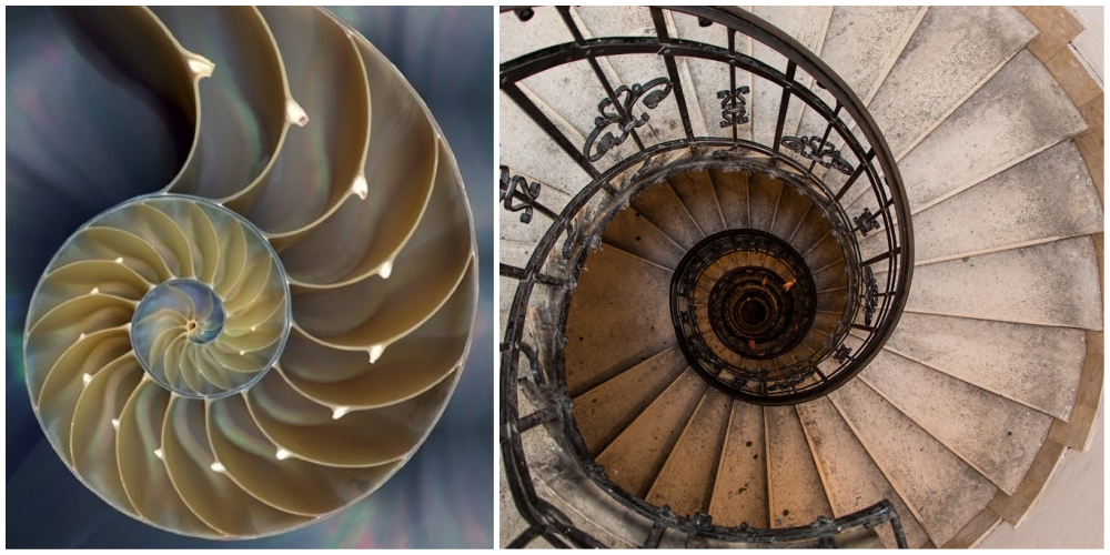 biofilia biomimetica