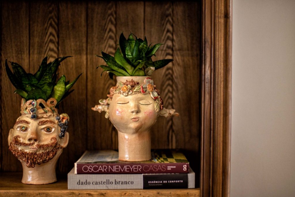 lançamento livro raízes amazônicas