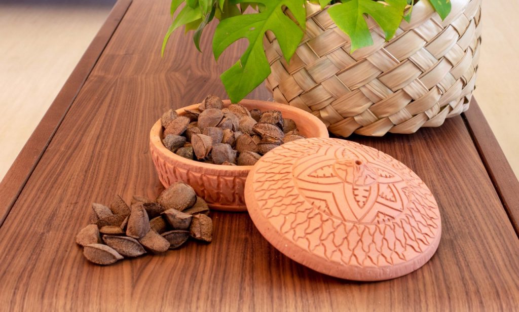 lançamento livro raízes amazonicas