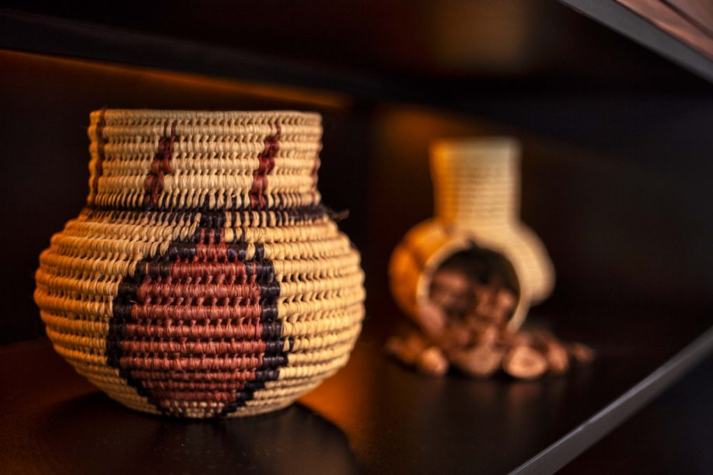 ançamento livro raízes amazônicas