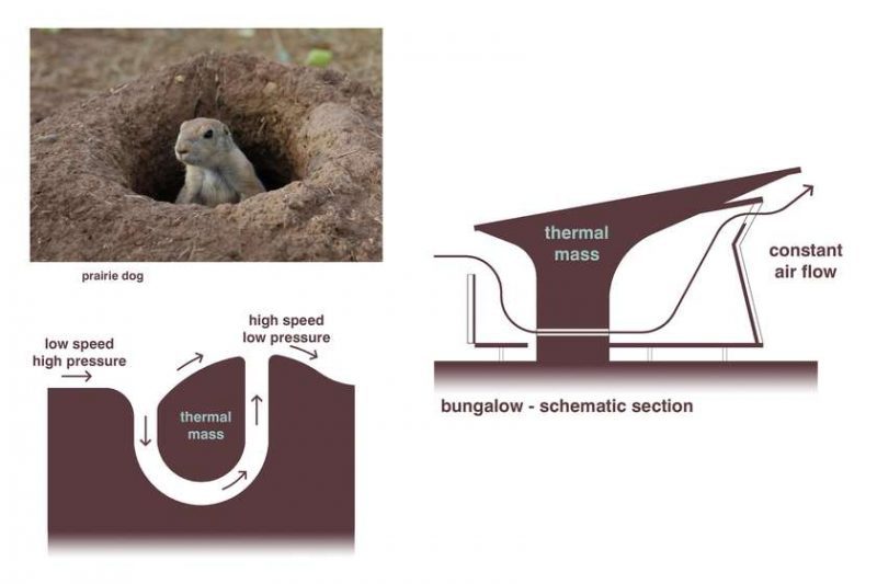 biomimética arquitetura votu hotel