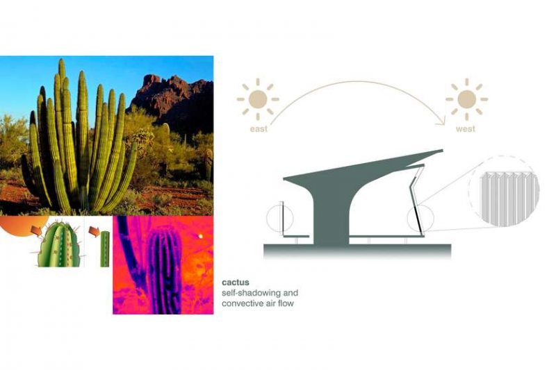 biomimética arquitetura votu hotel