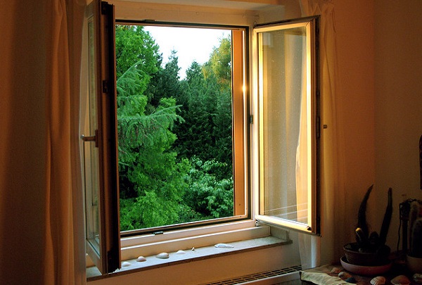 dicas para evitar mofo em casa