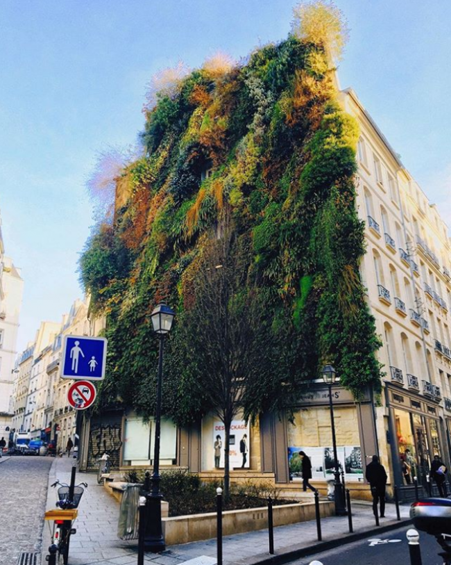 edificios verdes vogue