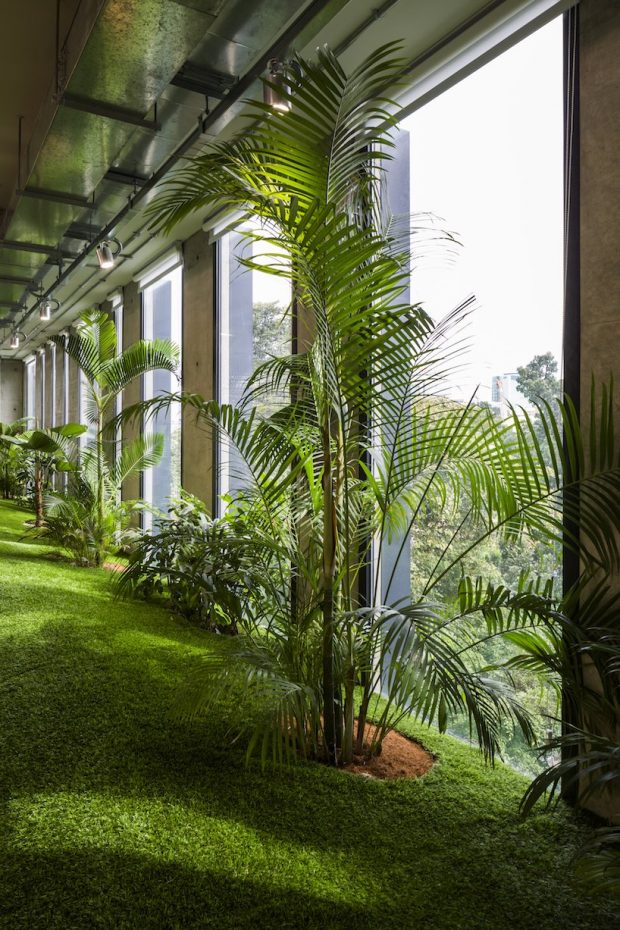 escritório verde vietnã