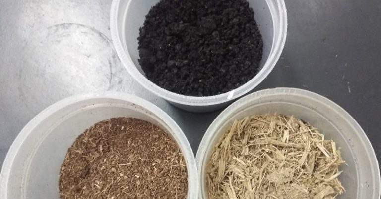 substratos para telhados verdes