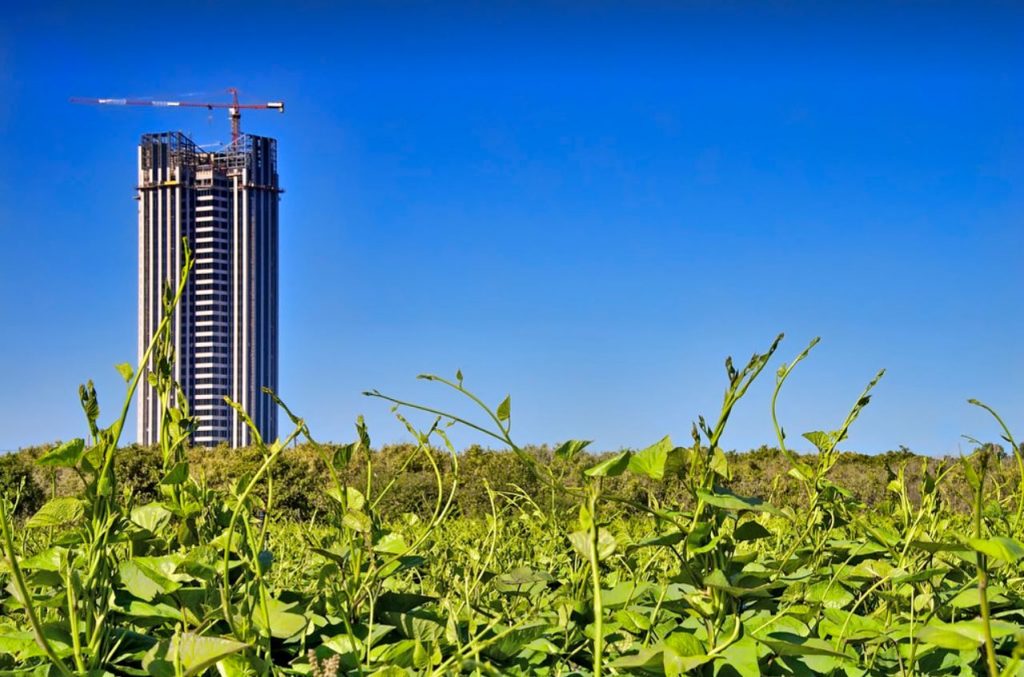 Impactos Ambientais da Construção