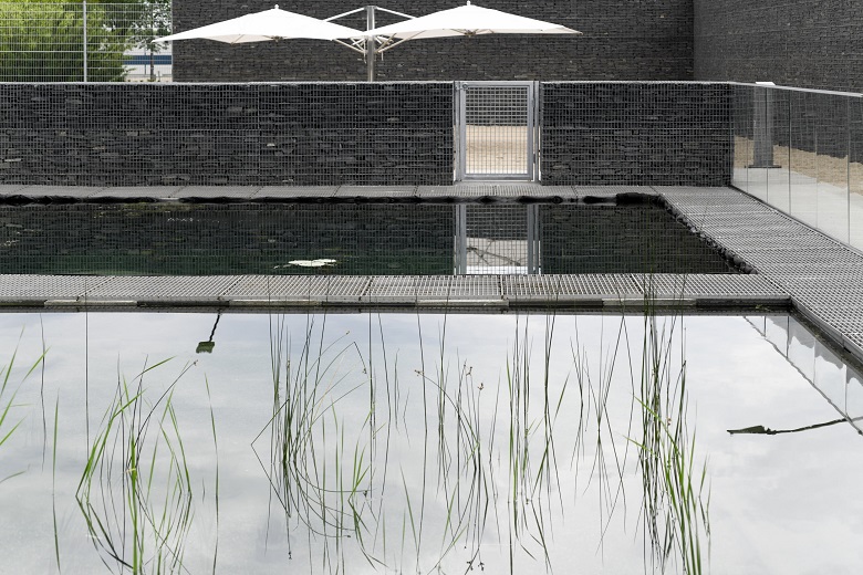 piscina biológica Borden Park Natural Swimming Pool 