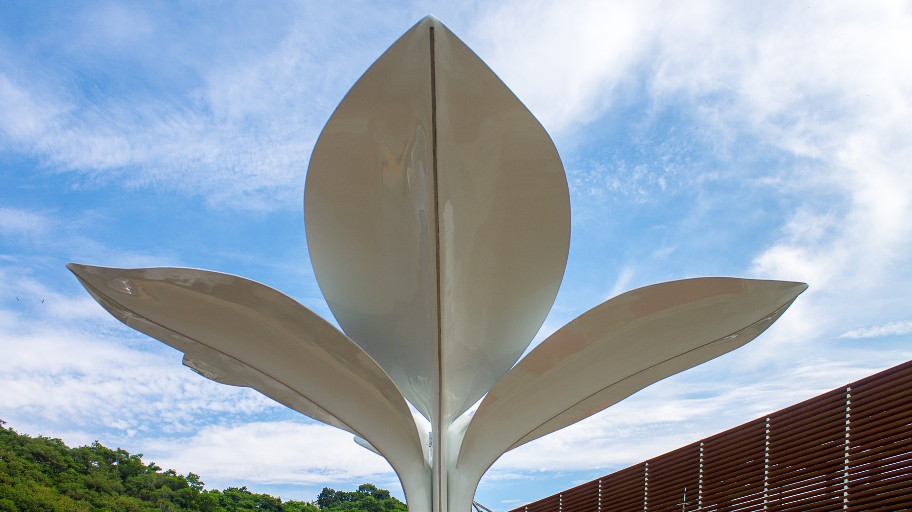 Árvore Solar brasileira