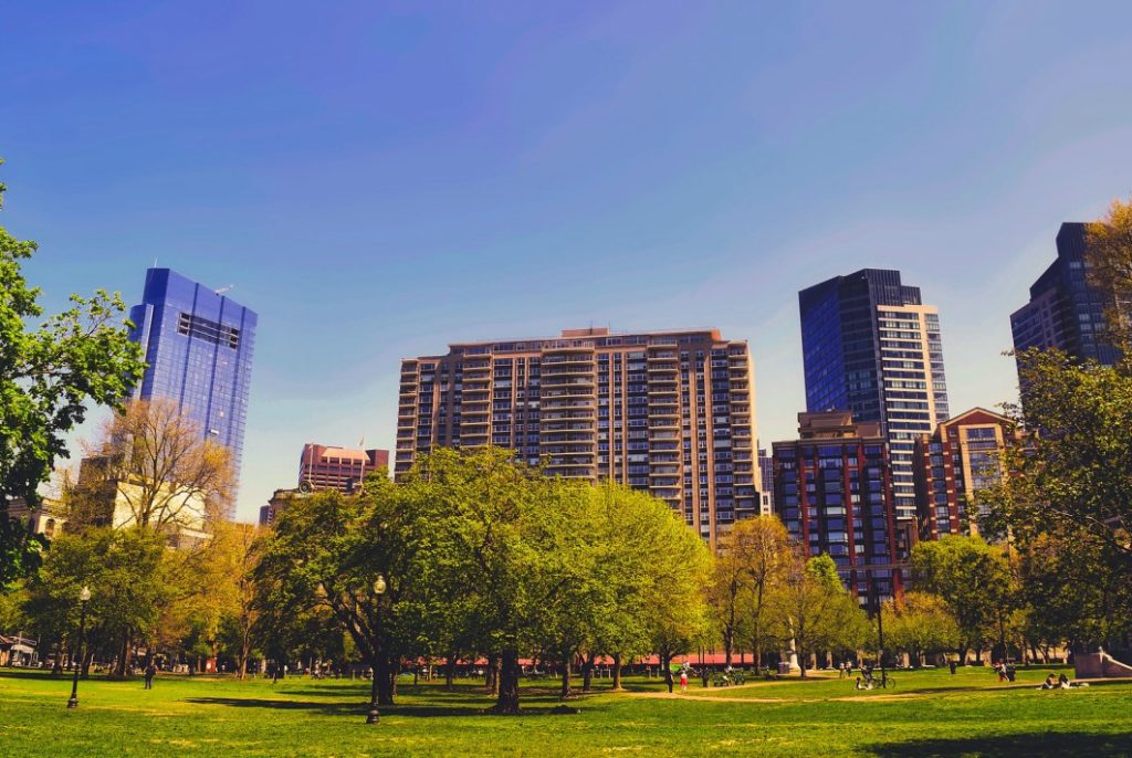 areas verdes para diminuir os riscos de enchentes