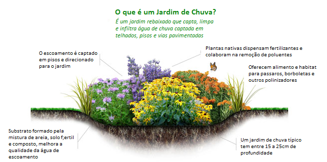 jardim de chuva para diminuir os riscos de enchentes