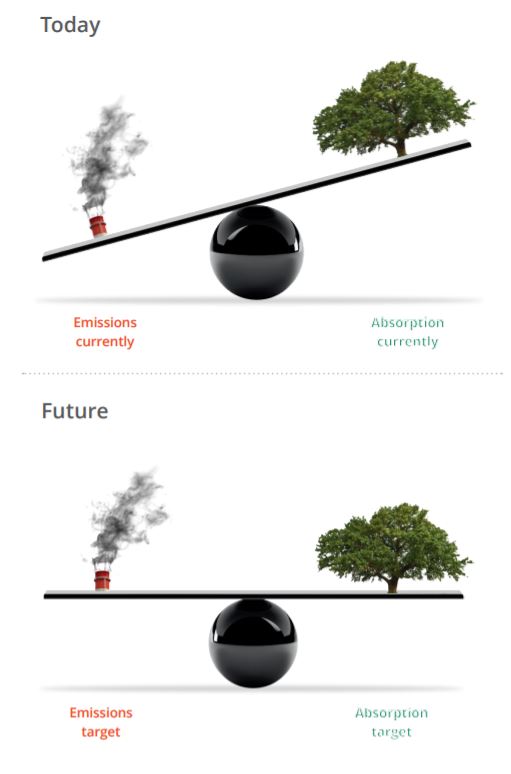 emissões de carbono dos edifícios