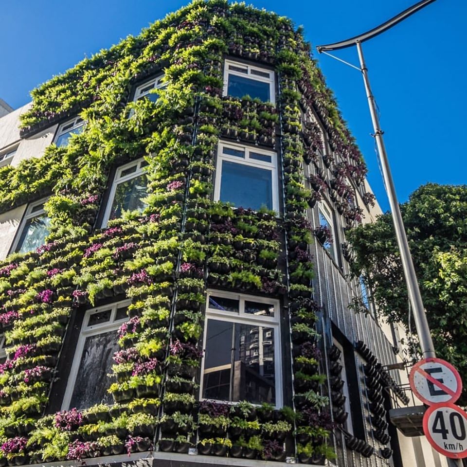 secis salvador fachada verde