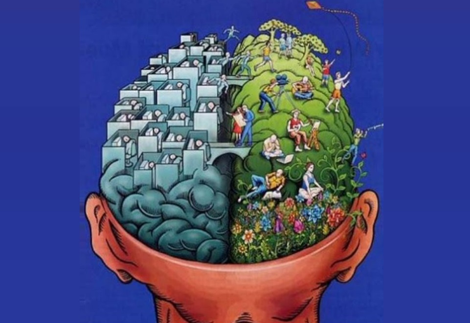 Psicologia ambiental